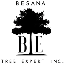 Besana Tree Expert